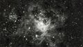 Thumbnail for version as of 12:03, 22 December 2024